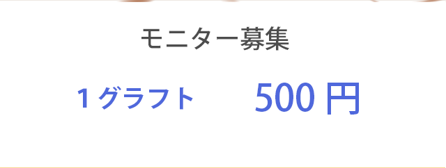 モニター募集1グラフト500円