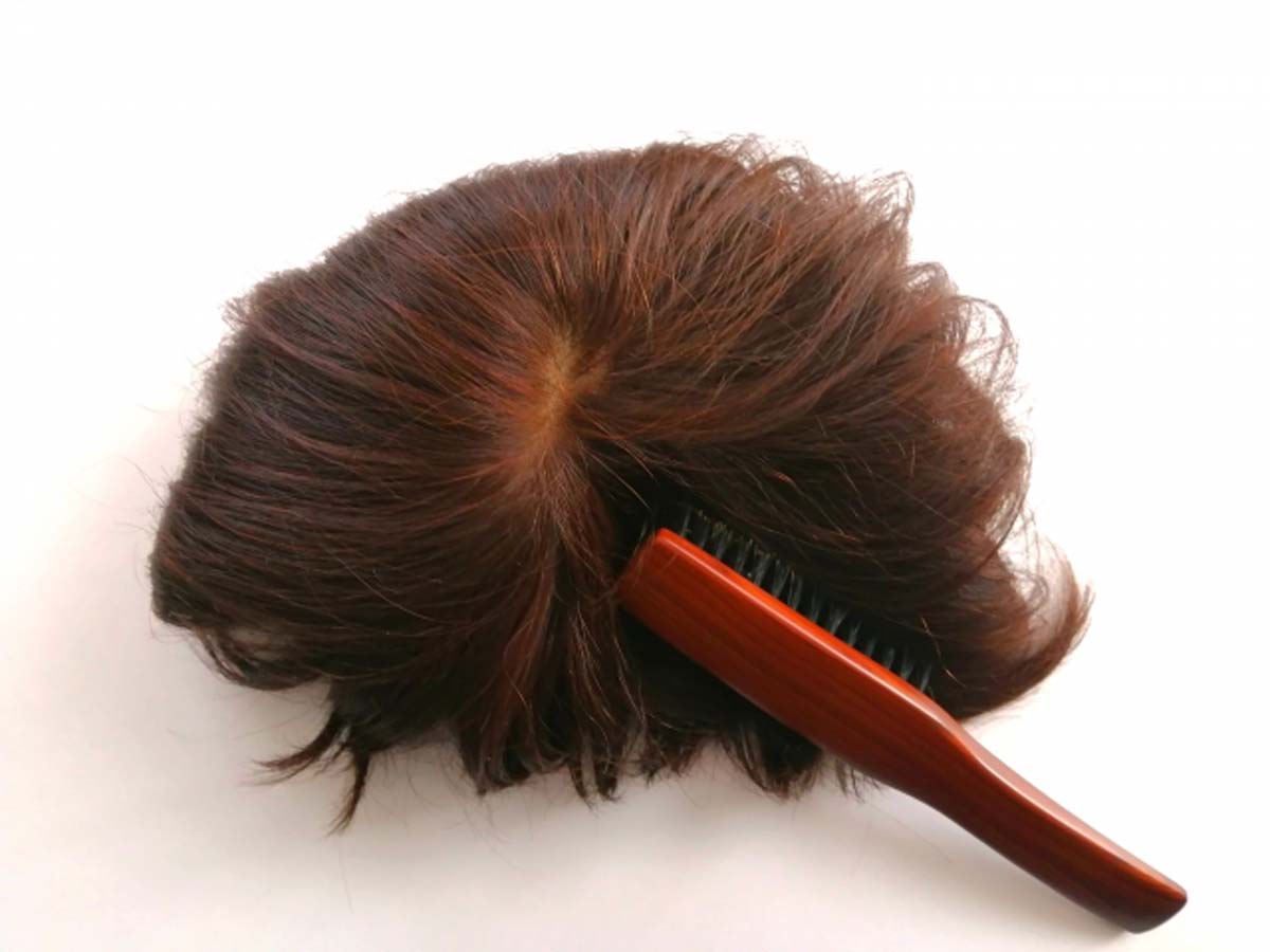 カツラのイメージ写真